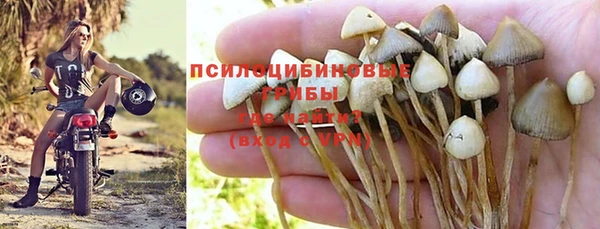 ALPHA-PVP Алексин