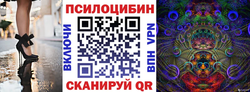 магазин продажи наркотиков  Ардатов  Псилоцибиновые грибы GOLDEN TEACHER 